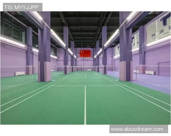 羽毛球训练设备创新及使用效果