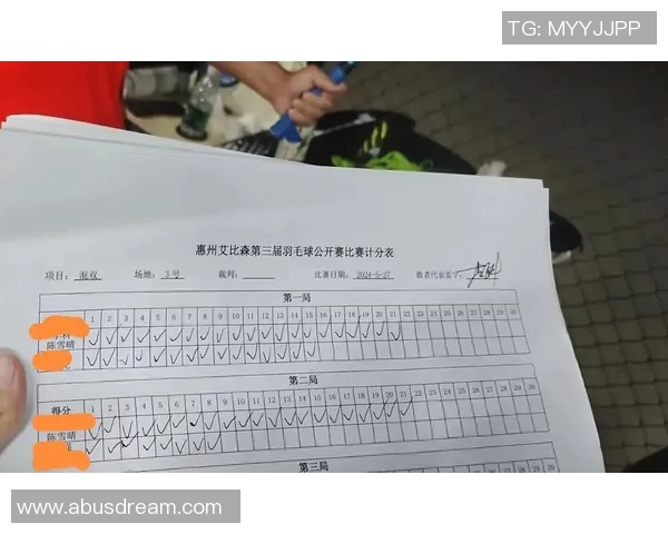 羽毛球赛事裁判新规则更新及其对比赛公平性与观众体验的影响评估